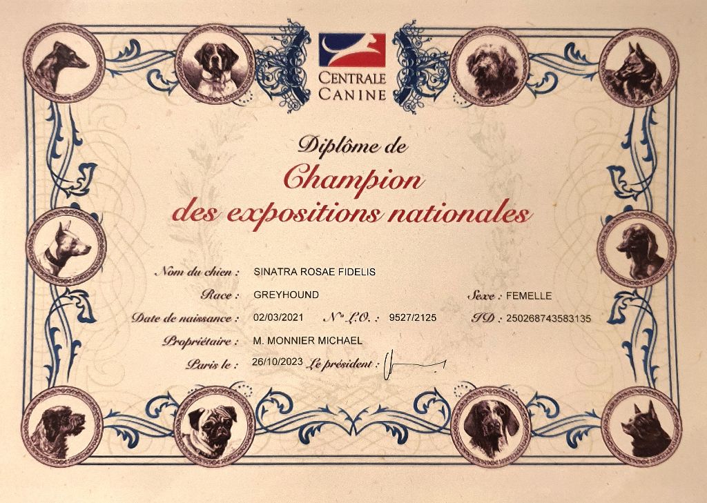 Rosae Fidelis - Championne des Expositions Nationales