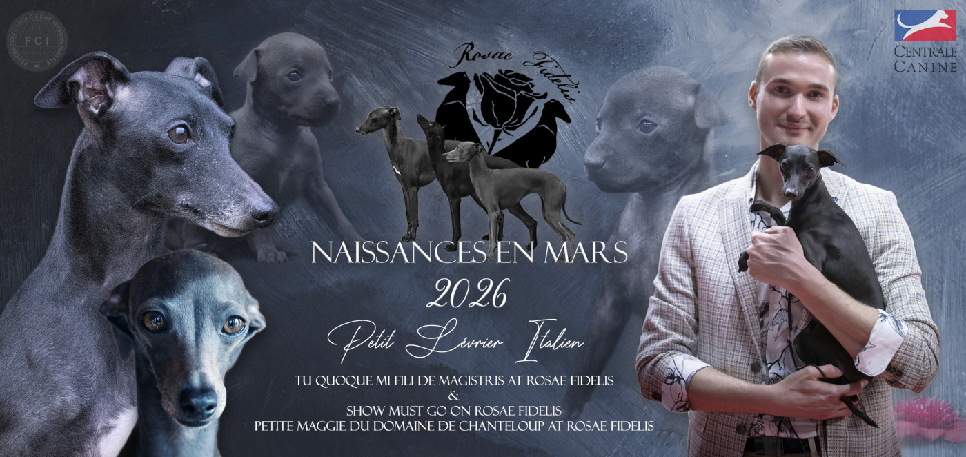 2 portées pour Mars 2026