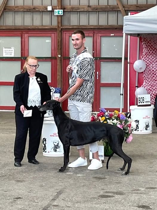 BEST IN SHOW ENE 2025